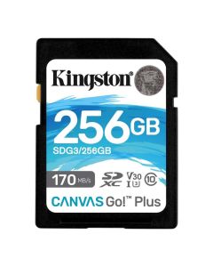 KINGSTON 256 GB SDG3/256GB